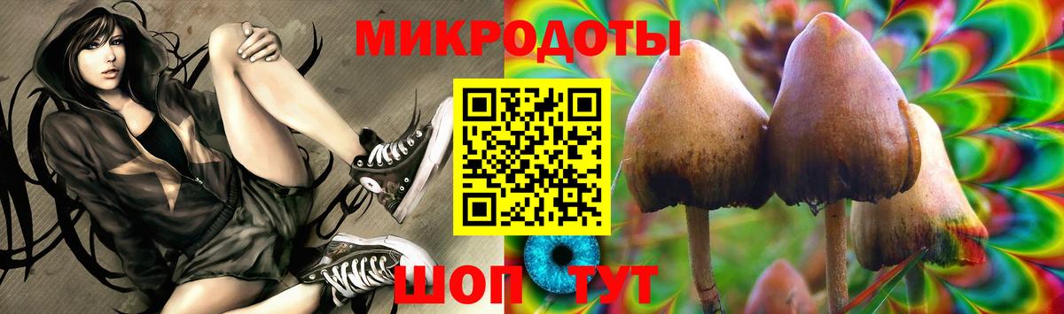 Псилоцибиновые грибы GOLDEN TEACHER Сосновоборск