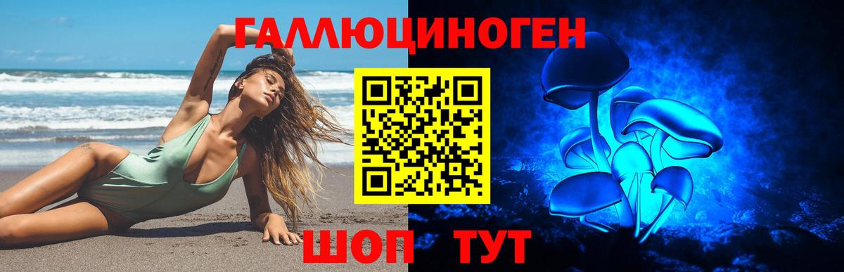 Псилоцибиновые грибы Psilocybine cubensis  Вход с VPN  Галлюциногенные грибы Psilocybine cubensis  Сосновоборск 